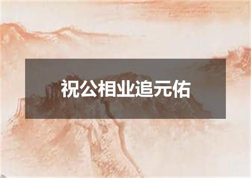 祝公相业追元佑