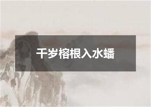 千岁榕根入水蟠