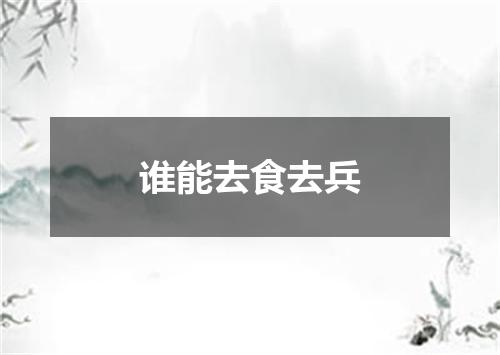 谁能去食去兵