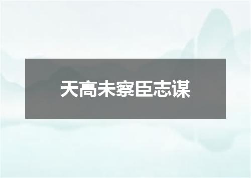 天高未察臣志谋