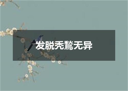 发脱秃鶖无异