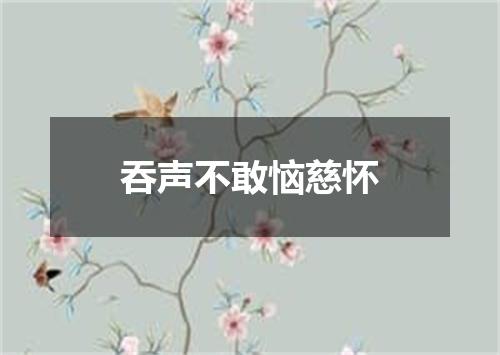 吞声不敢恼慈怀
