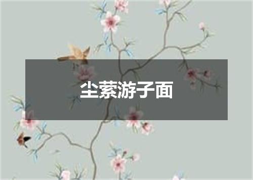 尘萦游子面