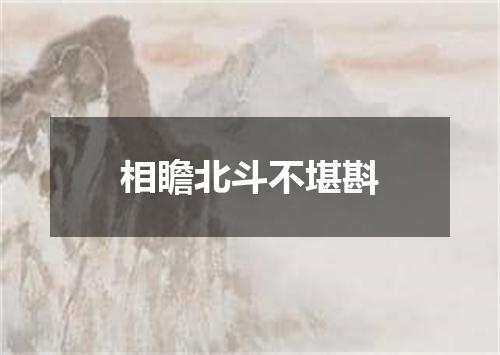 相瞻北斗不堪斟