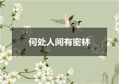 何处人间有密林