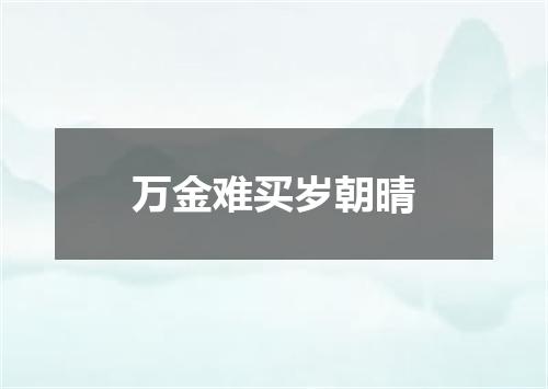 万金难买岁朝晴