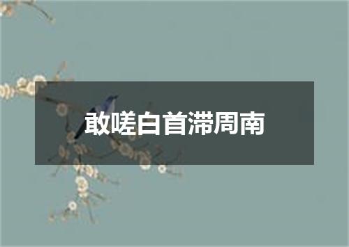 敢嗟白首滞周南