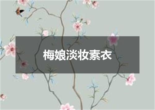 梅娘淡妆素衣