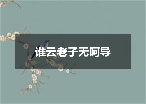 谁云老子无呵导