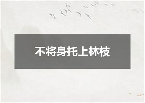 不将身托上林枝