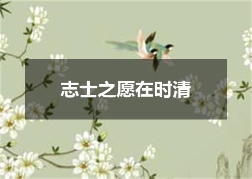 志士之愿在时清