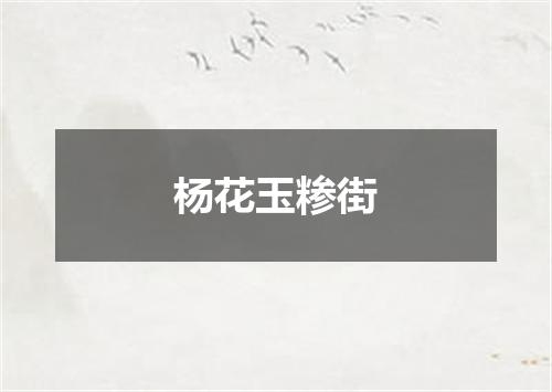 杨花玉糁街