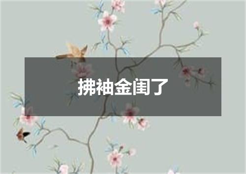 拂袖金闺了