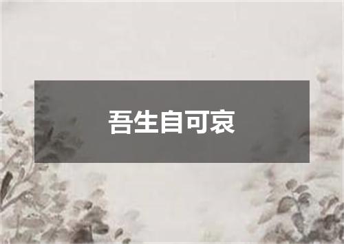 吾生自可哀