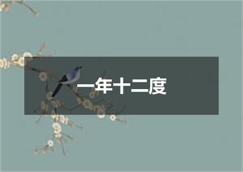 一年十二度