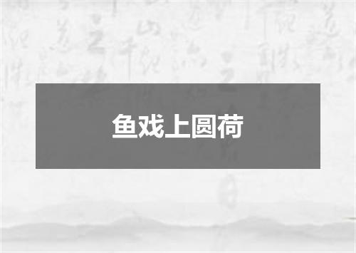 鱼戏上圆荷