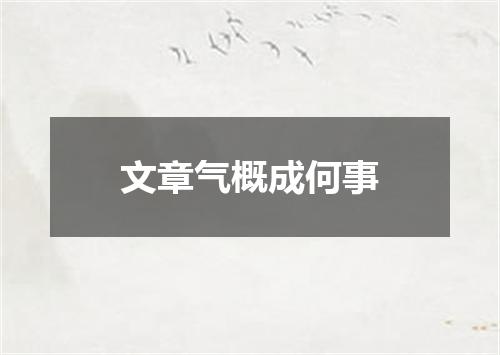 文章气概成何事
