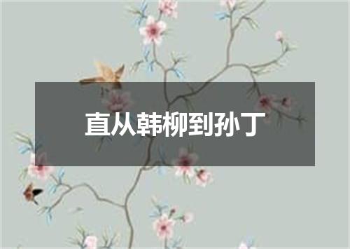 直从韩柳到孙丁