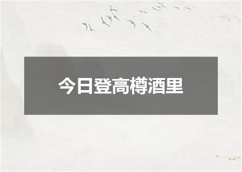 今日登高樽酒里