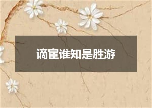 谪宦谁知是胜游
