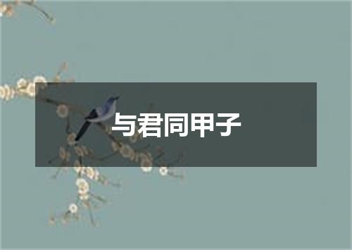与君同甲子