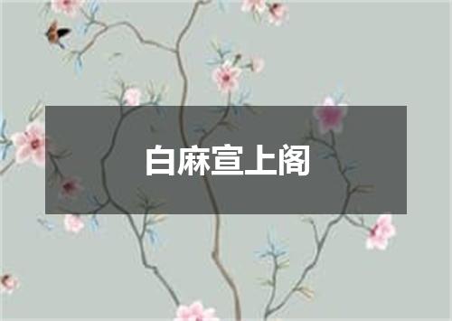白麻宣上阁
