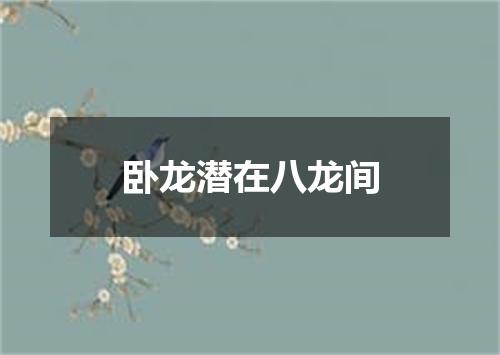 卧龙潜在八龙间