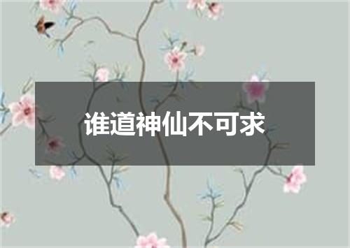谁道神仙不可求