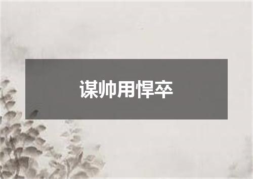 谋帅用悍卒