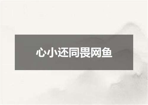 心小还同畏网鱼