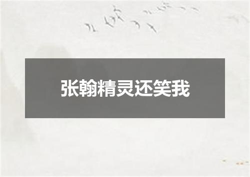 张翰精灵还笑我