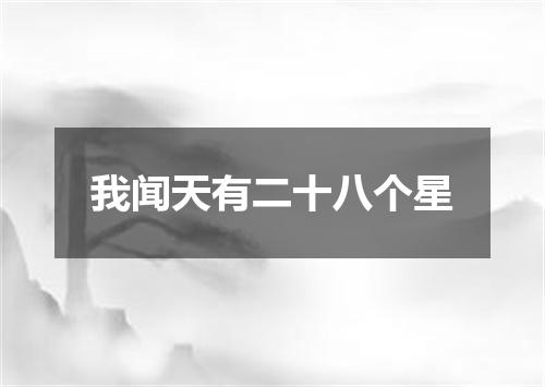 我闻天有二十八个星