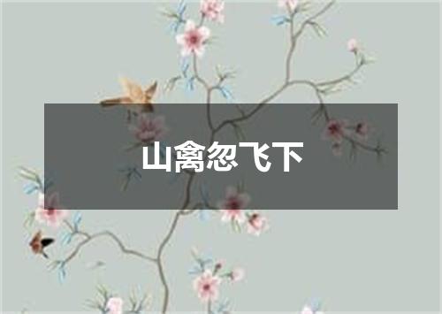 山禽忽飞下