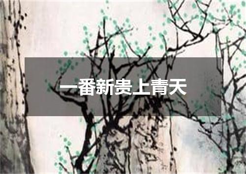 一番新贵上青天