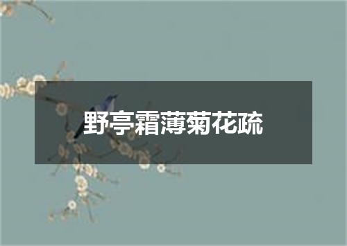 野亭霜薄菊花疏