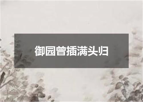 御园曾插满头归