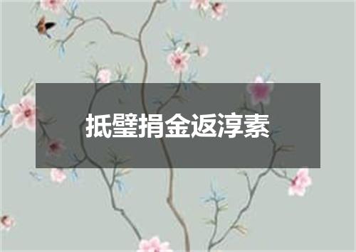 抵璧捐金返淳素