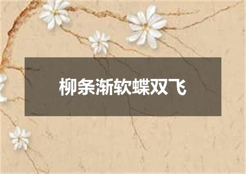 柳条渐软蝶双飞