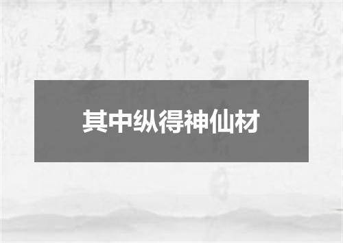 其中纵得神仙材