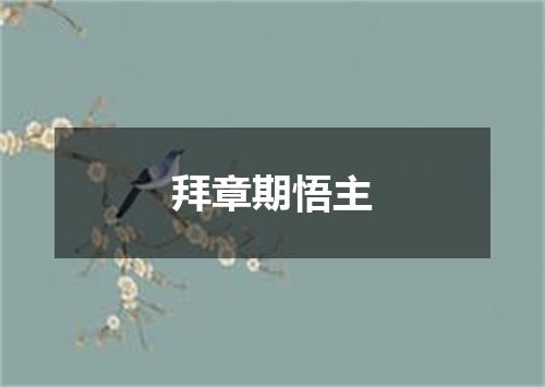 拜章期悟主