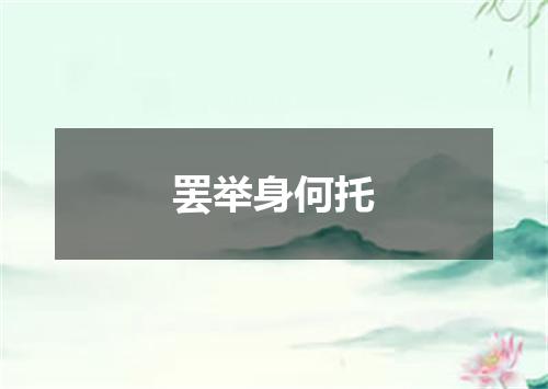 罢举身何托