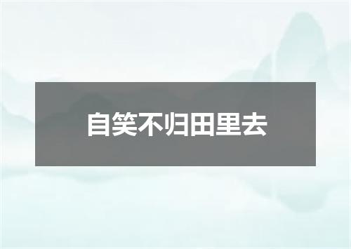 自笑不归田里去