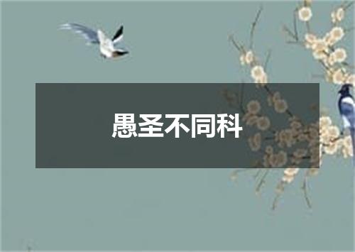 愚圣不同科