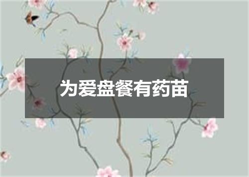 为爱盘餐有药苗