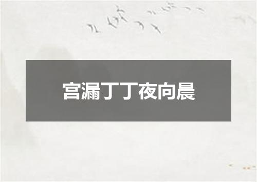 宫漏丁丁夜向晨