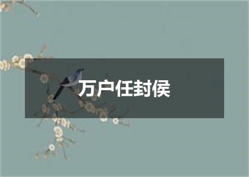 万户任封侯