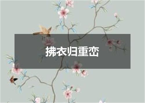 拂衣归重峦