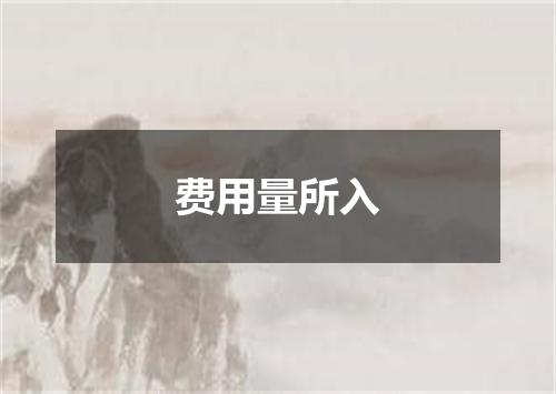 费用量所入