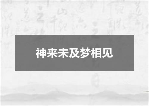 神来未及梦相见