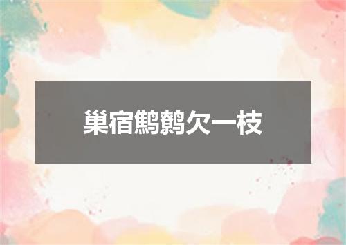 巢宿鹪鹩欠一枝
